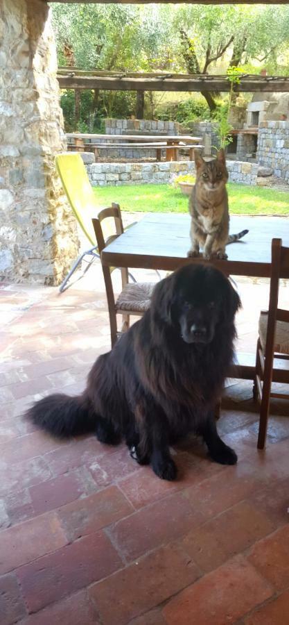 La Corte Del Falco Pieve a Nievole Eksteriør billede